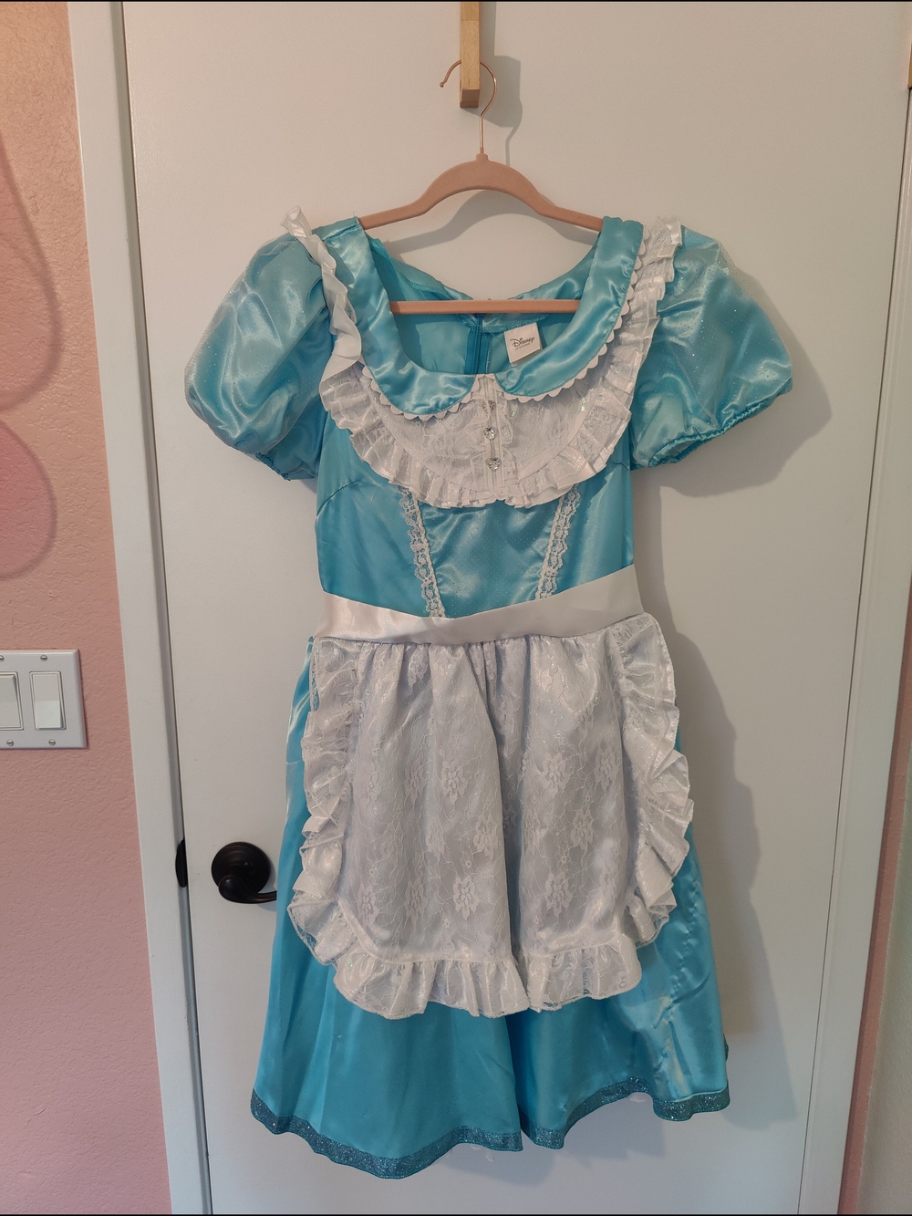 Adult Alice In Wonderland Costume in Light Blue with White Apron